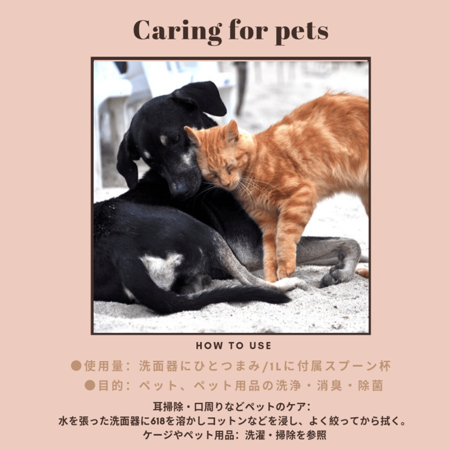 【rerum nature】618 ホタテパウダー scallop powder