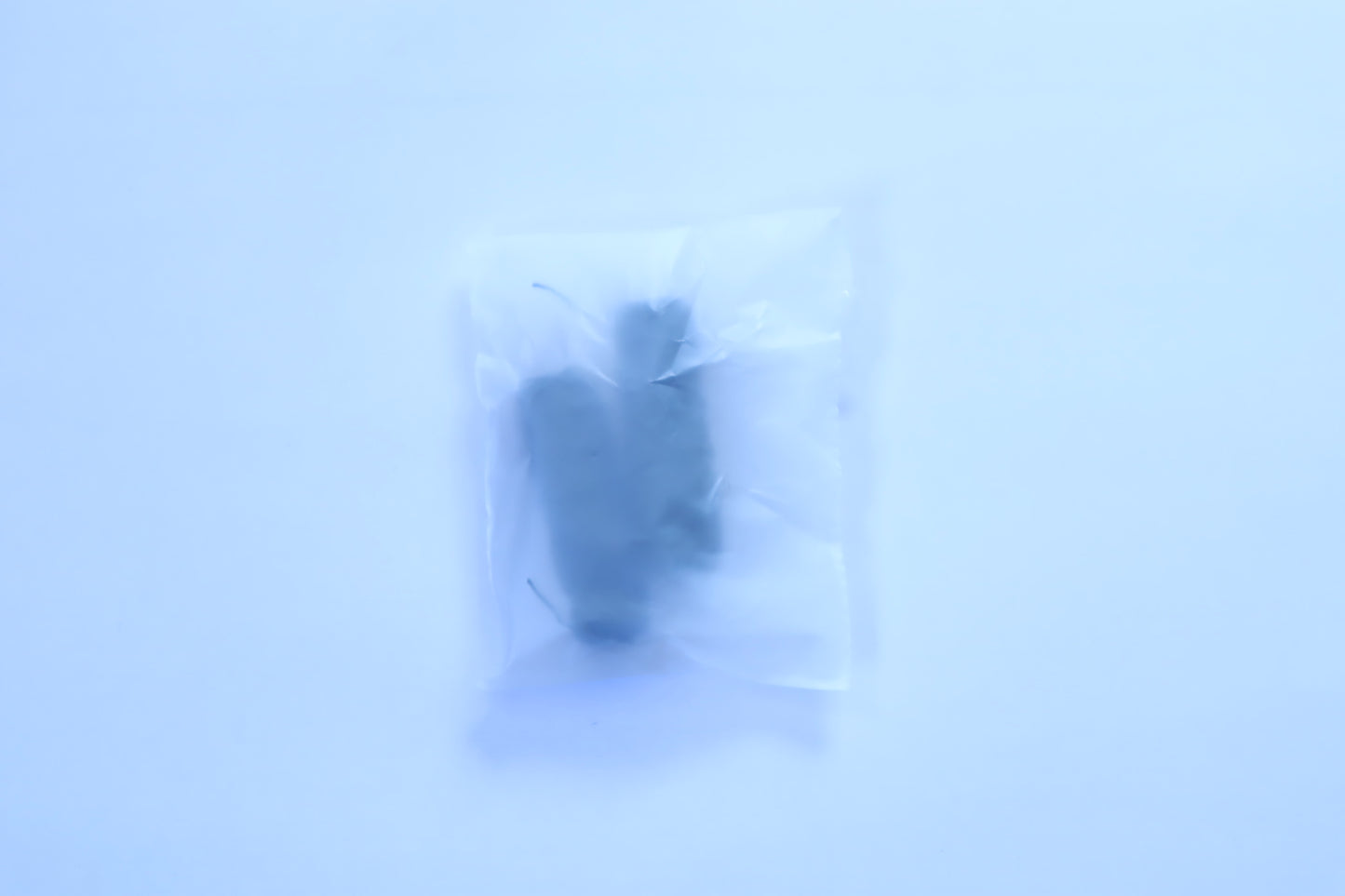 [TwoTrees] Bamboo Fiber Dental Floss