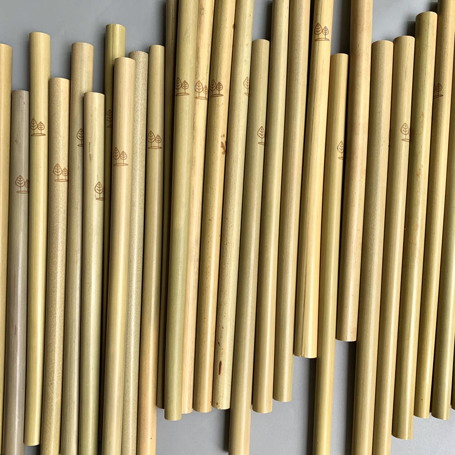 TwoTrees Organic Bamboo Straws, 2-Pack